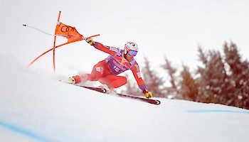 Downhill Training: interim results after 40 racers