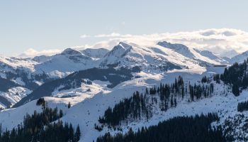 Wintergrüße von Streif und Ganslern