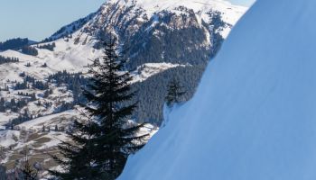 Wintergrüße von Streif und Ganslern