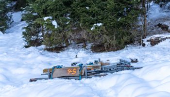 Wintergrüße von Streif und Ganslern