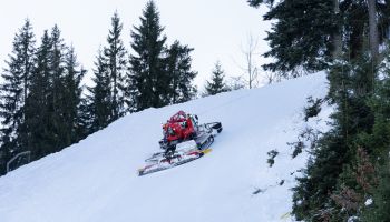 Wintergrüße von Streif und Ganslern