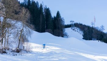 Wintergrüße von Streif und Ganslern