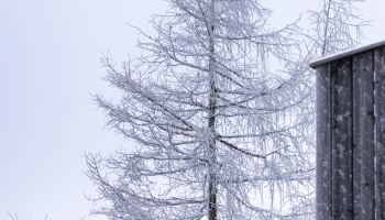 Frau Holle schickte einen leisen Gruß