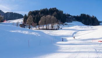 Slalom Elite Train on Ganslern Hill