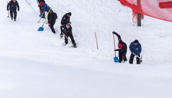 Muskelkraft und Leidenschaft