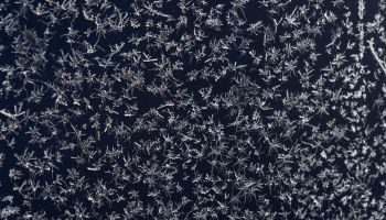 Mit Wasser gegen die Kälte