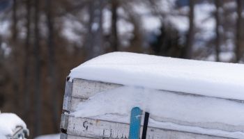 Mit Wasser gegen die Kälte