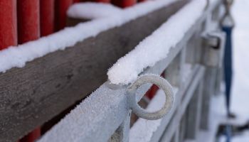 Mit Wasser gegen die Kälte