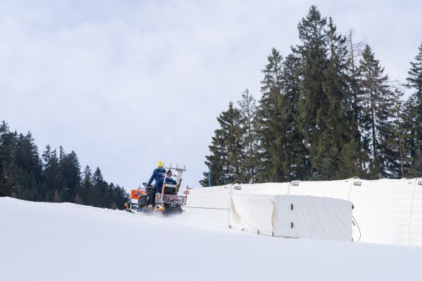 Ein Kissen feiert Jubiläum