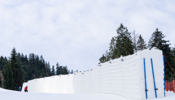 Ein Kissen feiert Jubiläum