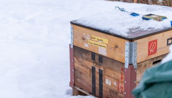 „Römisch Eins“ für die Streif-Vorbereitung