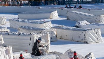 Die Streif genießt die Ruhe