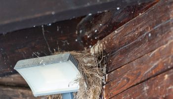 Wenn diese Hütte sprechen könnte